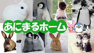 グループ06のリンク画像